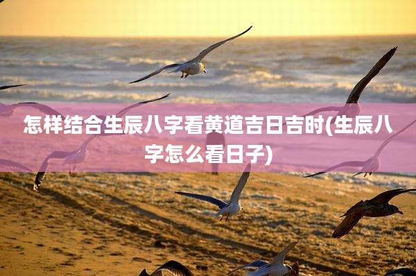 怎样结合生辰八字看黄道吉日吉时(生辰八字怎么看日子)
