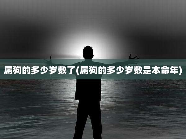 属狗的多少岁数了(属狗的多少岁数是本命年)