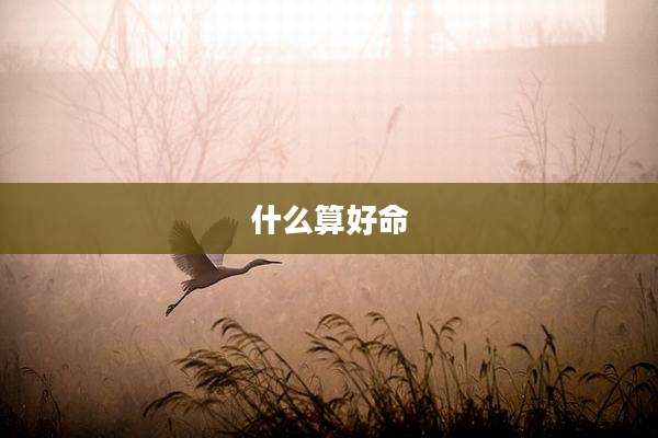 什么算好命