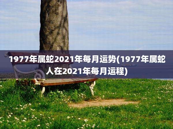 1977年属蛇2021年每月运势(1977年属蛇人在2021年每月运程)