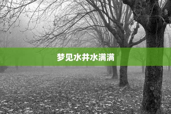 梦见水井水满满