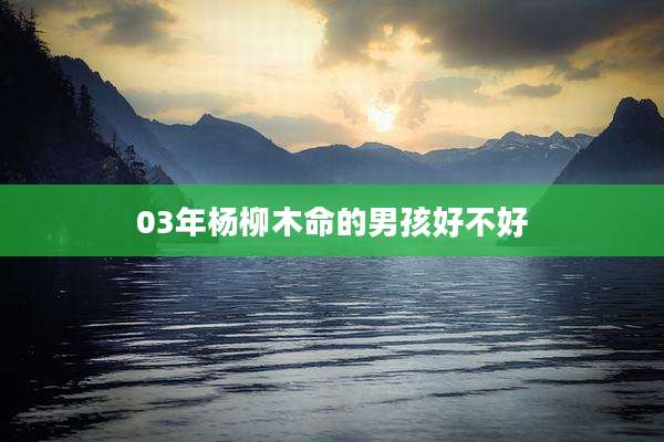 03年杨柳木命的男孩好不好