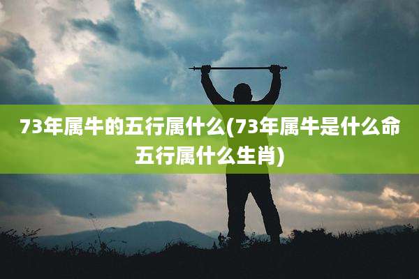 73年属牛的五行属什么(73年属牛是什么命五行属什么生肖)