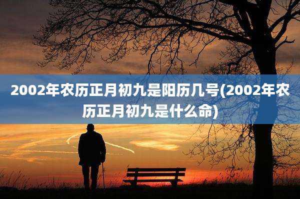 2002年农历正月初九是阳历几号(2002年农历正月初九是什么命)