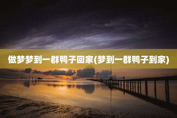 做梦梦到一群鸭子回家(梦到一群鸭子到家)
