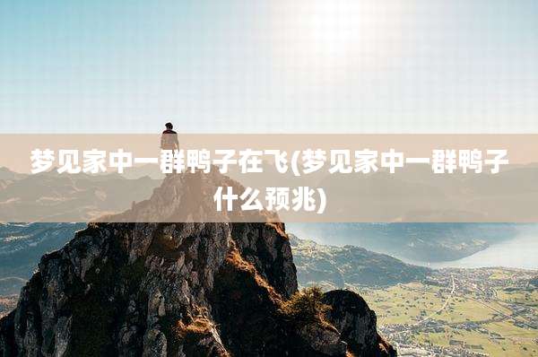 梦见家中一群鸭子在飞(梦见家中一群鸭子什么预兆)