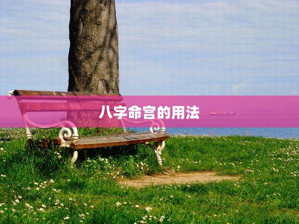 八字命宫的用法