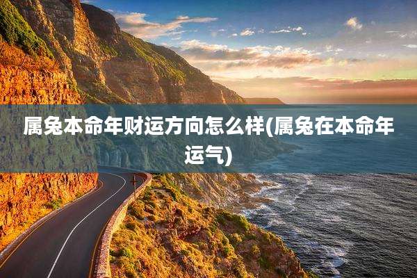 属兔本命年财运方向怎么样(属兔在本命年运气)