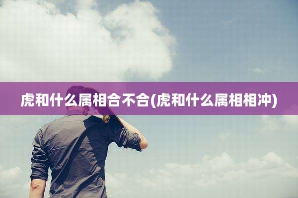 虎和什么属相合不合(虎和什么属相相冲)