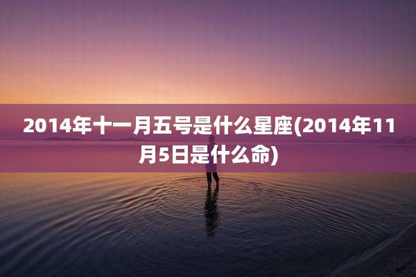2014年十一月五号是什么星座(2014年11月5日是什么命)