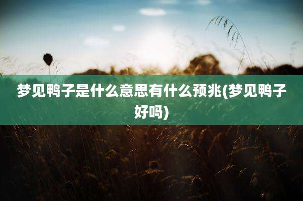 梦见鸭子是什么意思有什么预兆(梦见鸭子好吗)