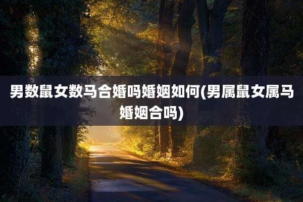 男数鼠女数马合婚吗婚姻如何(男属鼠女属马婚姻合吗)