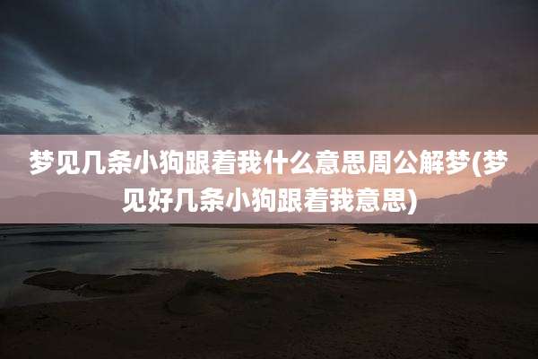 梦见几条小狗跟着我什么意思周公解梦(梦见好几条小狗跟着我意思)