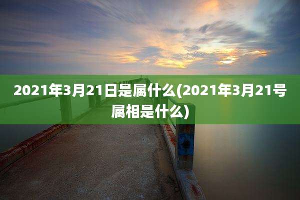 2021年3月21日是属什么(2021年3月21号属相是什么)