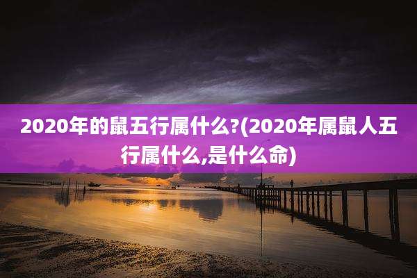 2020年的鼠五行属什么?(2020年属鼠人五行属什么,是什么命)