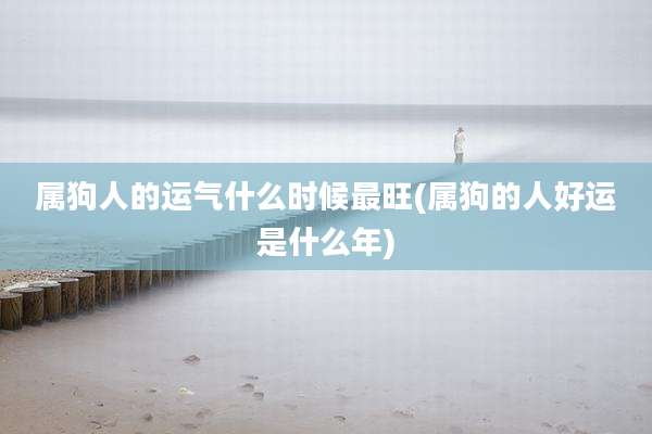 属狗人的运气什么时候最旺(属狗的人好运是什么年)