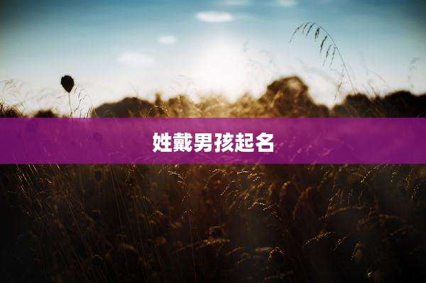 姓戴男孩起名