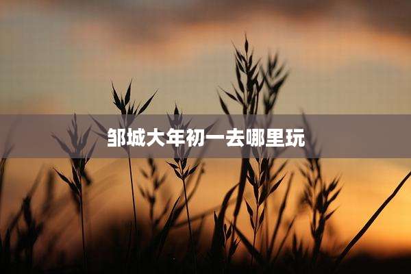 邹城大年初一去哪里玩