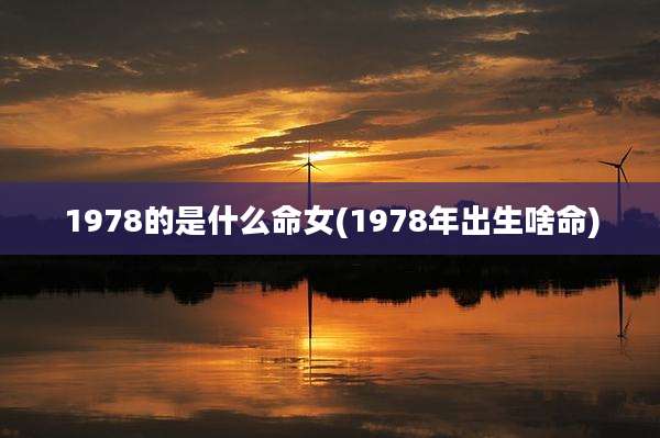 1978的是什么命女(1978年出生啥命)