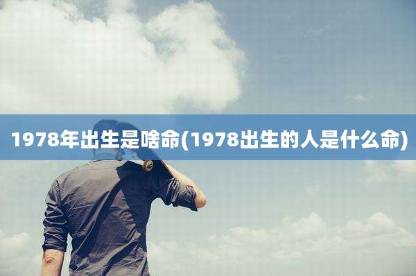 1978年出生是啥命(1978出生的人是什么命)