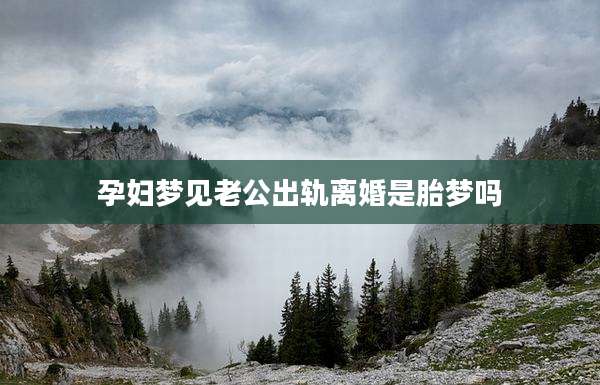 孕妇梦见老公出轨离婚是胎梦吗