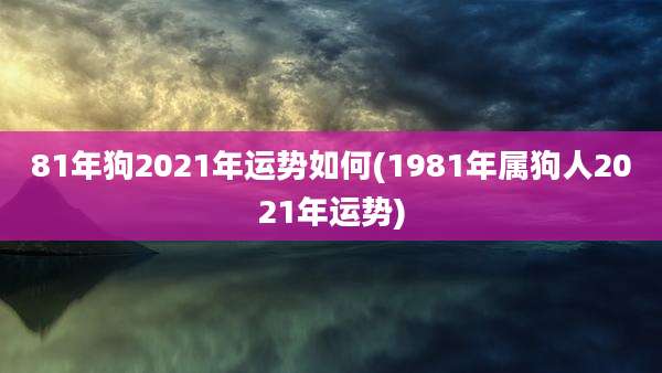81年狗2021年运势如何(1981年属狗人2021年运势)