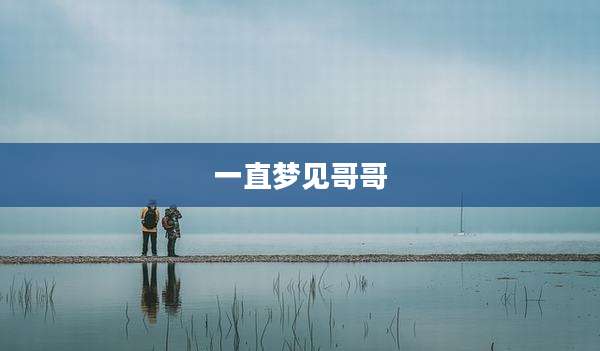 一直梦见哥哥
