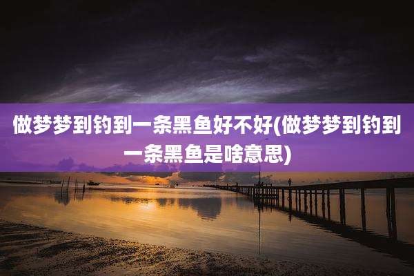 做梦梦到钓到一条黑鱼好不好(做梦梦到钓到一条黑鱼是啥意思)