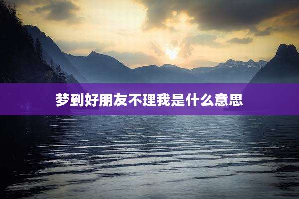 梦到好朋友不理我是什么意思