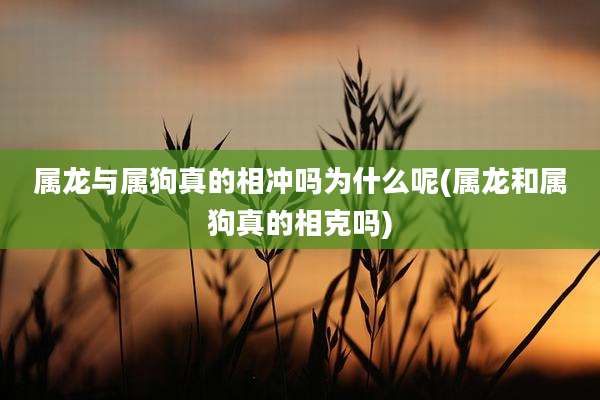 属龙与属狗真的相冲吗为什么呢(属龙和属狗真的相克吗)