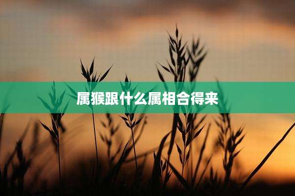 属猴跟什么属相合得来