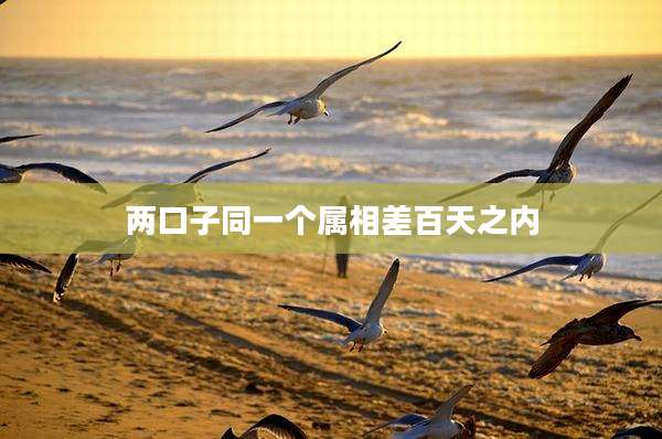 两口子同一个属相差百天之内