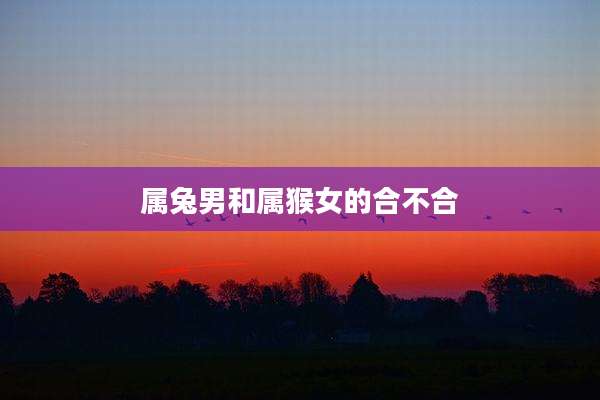 属兔男和属猴女的合不合