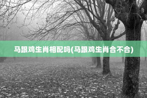 马跟鸡生肖相配吗(马跟鸡生肖合不合)