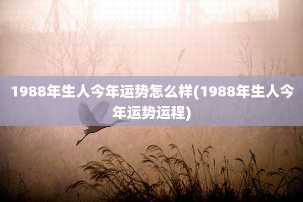 1988年生人今年运势怎么样(1988年生人今年运势运程)