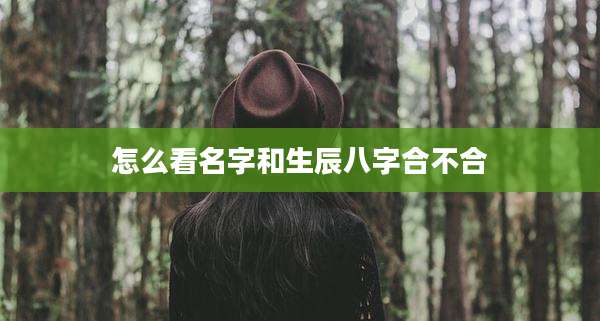 怎么看名字和生辰八字合不合