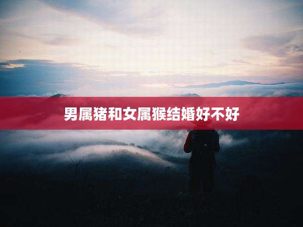 男属猪和女属猴结婚好不好