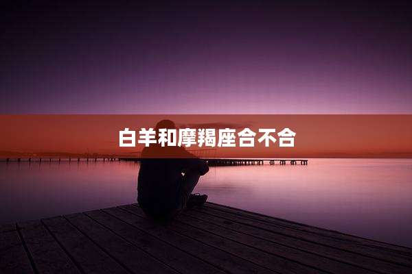 白羊和摩羯座合不合