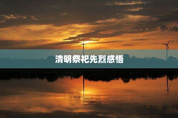 清明祭祀先烈感悟