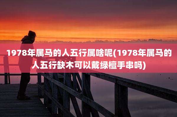 1978年属马的人五行属啥呢(1978年属马的人五行缺木可以戴绿檀手串吗)