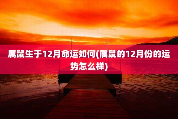 属鼠生于12月命运如何(属鼠的12月份的运势怎么样)
