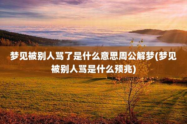 梦见被别人骂了是什么意思周公解梦(梦见被别人骂是什么预兆)