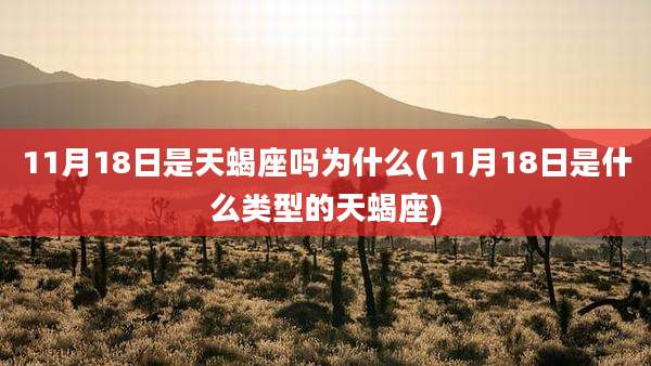 11月18日是天蝎座吗为什么(11月18日是什么类型的天蝎座)