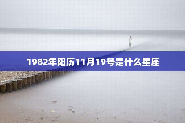1982年阳历11月19号是什么星座
