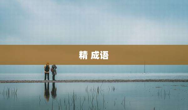精 成语