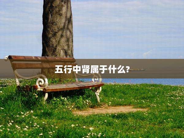 五行中肾属于什么?