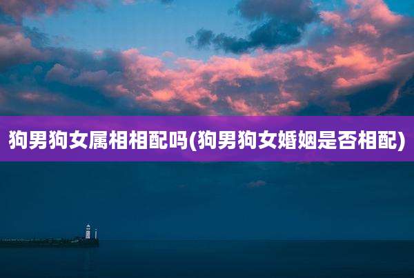 狗男狗女属相相配吗(狗男狗女婚姻是否相配)