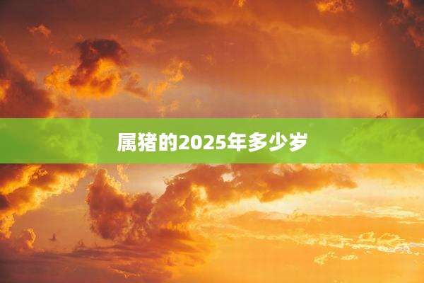 属猪的2025年多少岁