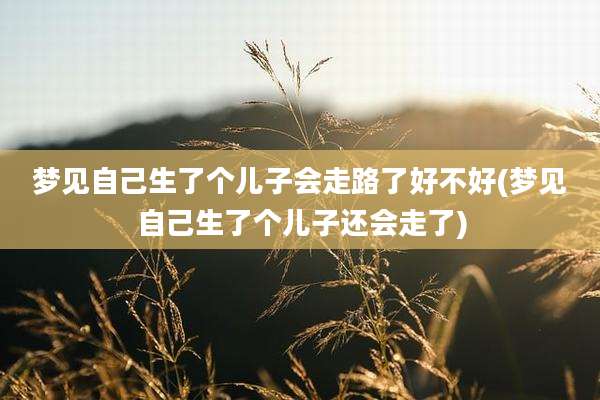 梦见自己生了个儿子会走路了好不好(梦见自己生了个儿子还会走了)
