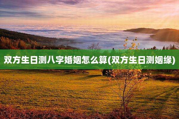 双方生日测八字婚姻怎么算(双方生日测姻缘)